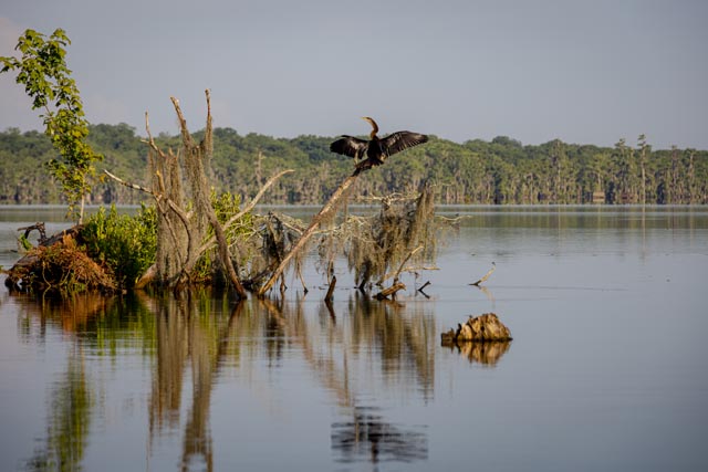 St. Martin Parish | Tour Louisiana