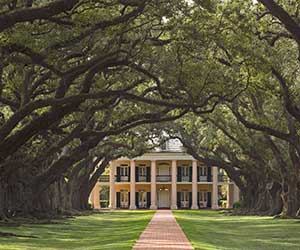 Oak Alley Plantation