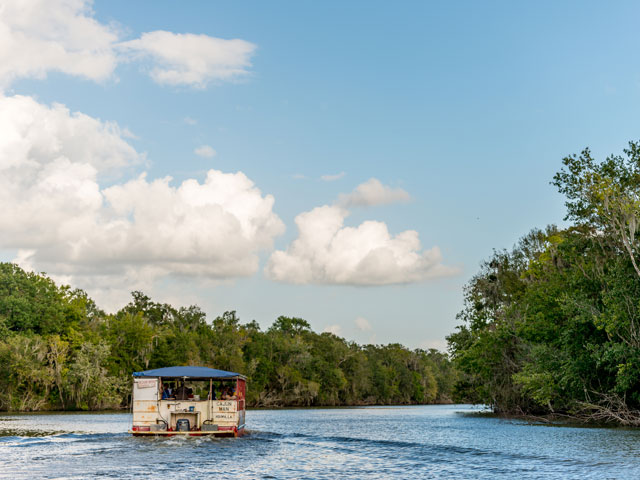 houma bayou tours