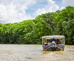 The Northshore, St. Tammany Parish