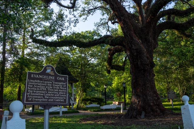 St. Martin Parish | Tour Louisiana