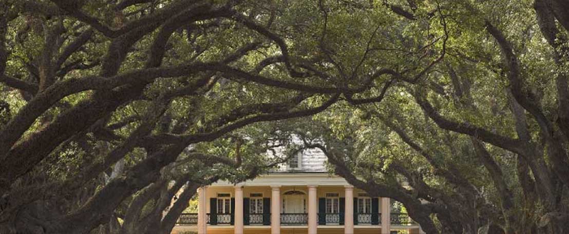Oak Alley Plantation